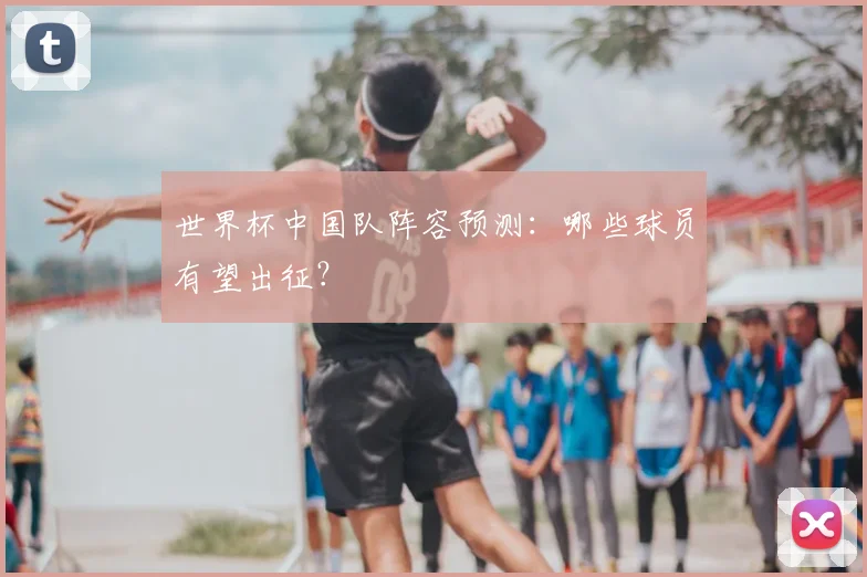 世界杯中国队阵容预测:哪些球员有望出征?