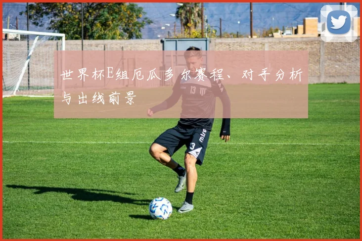 世界杯E组厄瓜多尔赛程、对手分析与出线前景