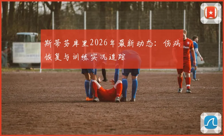 斯蒂芬库里2026年最新动态：伤病恢复与训练实况追踪